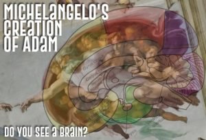 Michelangelo's Creation of Adam - do you see a brain?